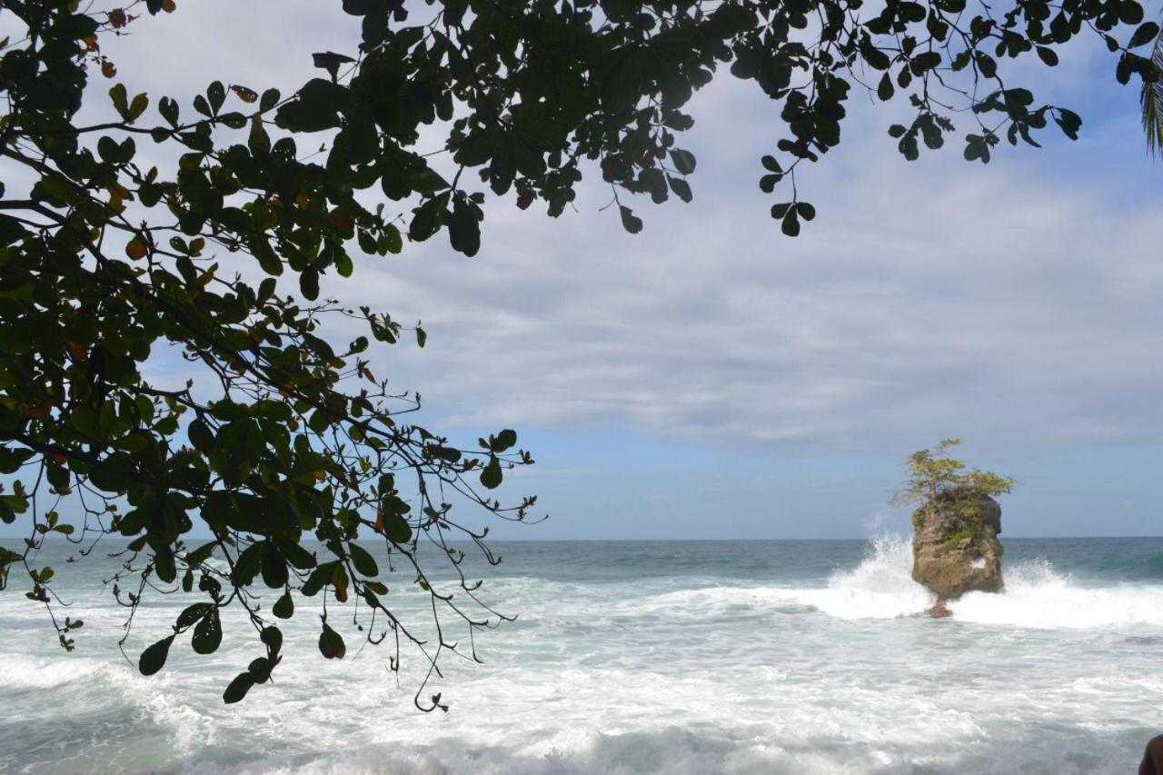 Hotel Cahuita Εξωτερικό φωτογραφία