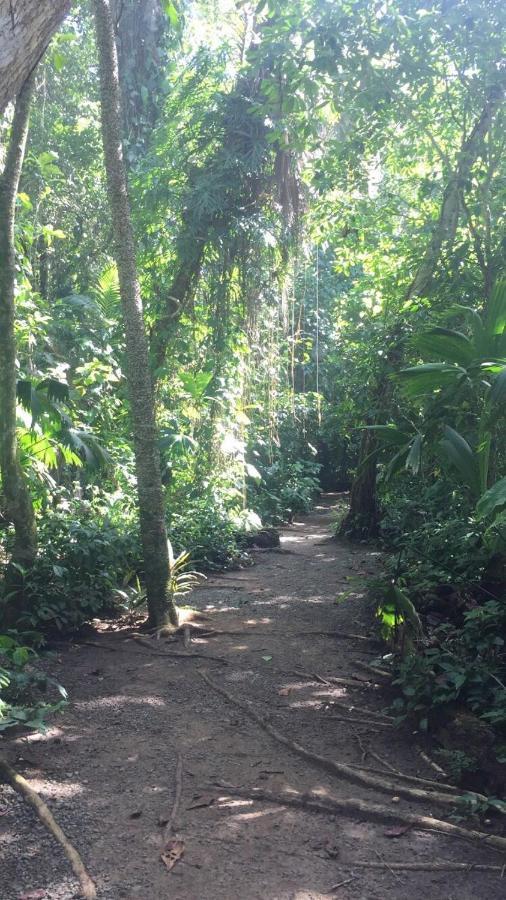 Hotel Cahuita Εξωτερικό φωτογραφία