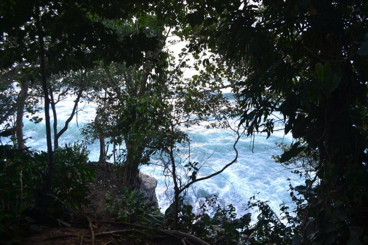 Hotel Cahuita Εξωτερικό φωτογραφία