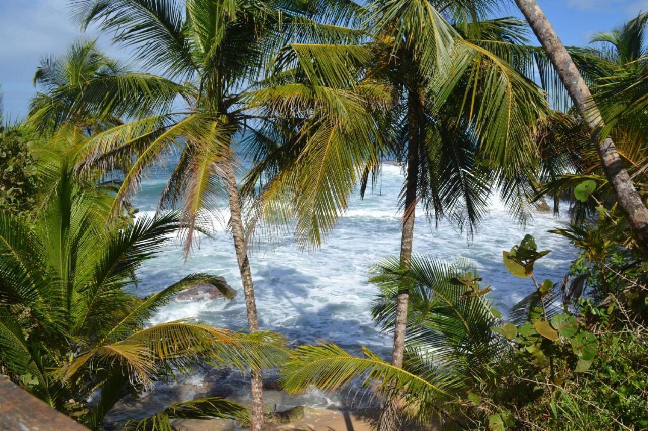 Hotel Cahuita Εξωτερικό φωτογραφία